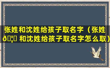 张姓和沈姓给孩子取名字（张姓 🦈 和沈姓给孩子取名字怎么取）